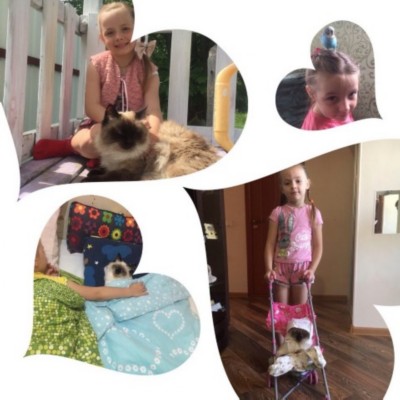 �����������