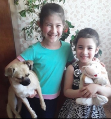 �����������