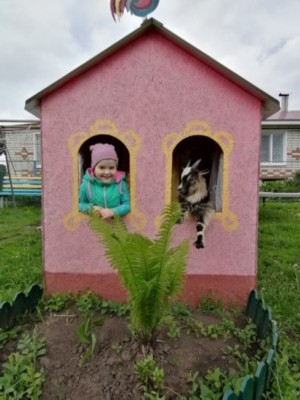 �����������