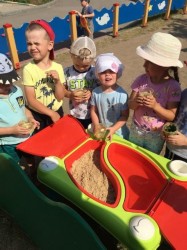 �����������