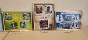 �����������